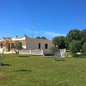 Donna Rosa B&B